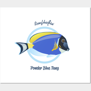 Powder Blue Tang Posters and Art